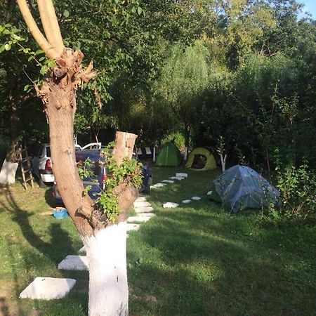 Camping In Clisura Dunarii Ieşelniţa Exterior foto