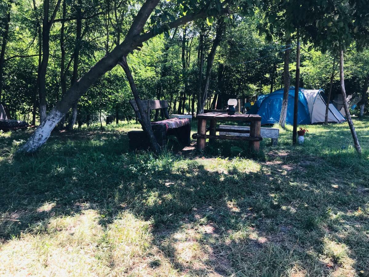 Camping In Clisura Dunarii Ieşelniţa Exterior foto