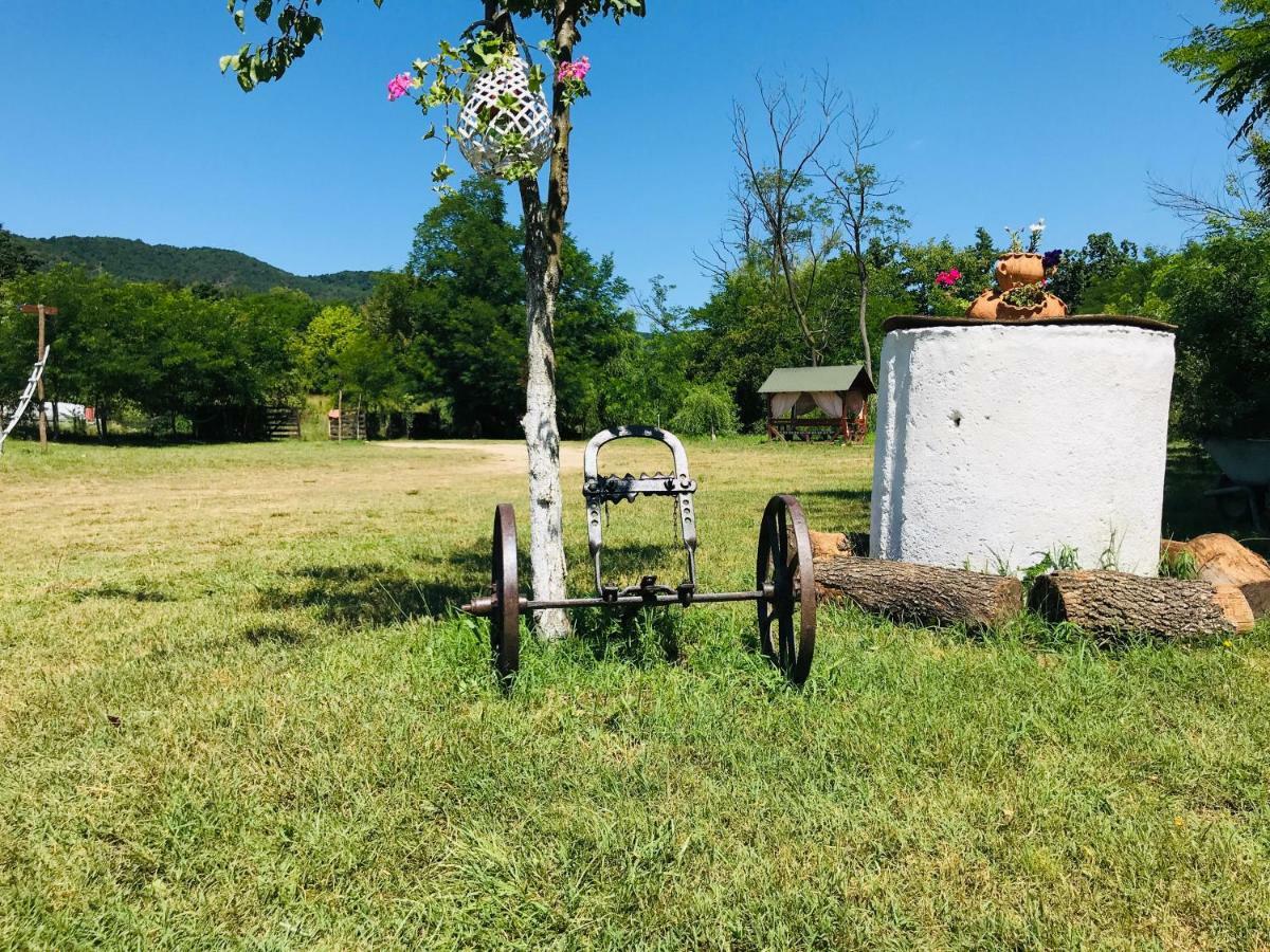 Camping In Clisura Dunarii Ieşelniţa Exterior foto