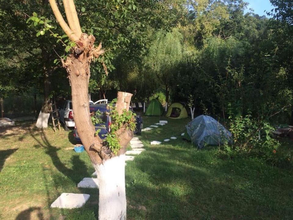 Camping In Clisura Dunarii Ieşelniţa Exterior foto