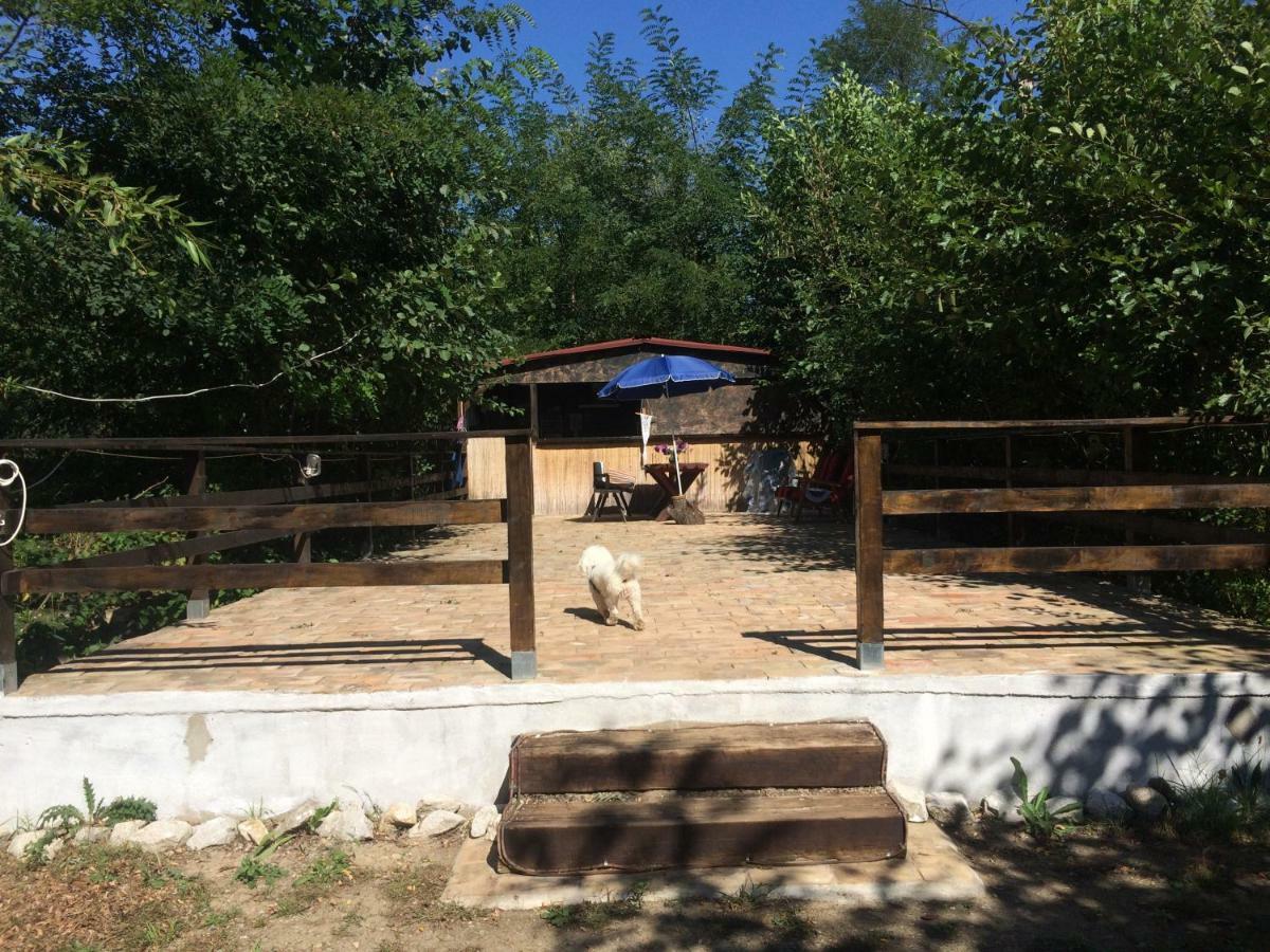 Camping In Clisura Dunarii Ieşelniţa Exterior foto