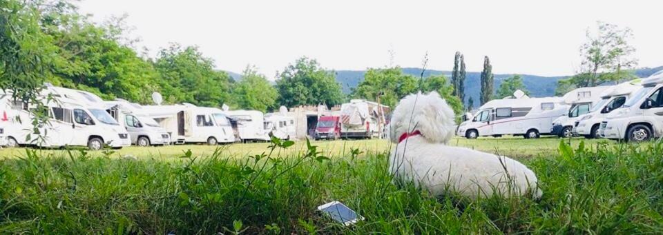 Camping In Clisura Dunarii Ieşelniţa Exterior foto